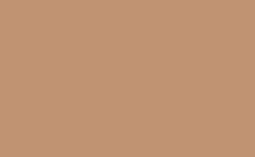 BD Seamless LATTE 2.72m x 11m image 1