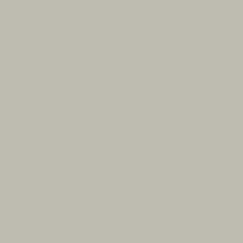 BD Seamless Corded Photographer Gray 2.72m x 11m image 1