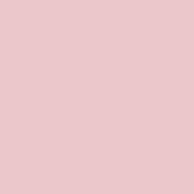 BD Seamless Pastel Pink 2.72m x 11m image 1