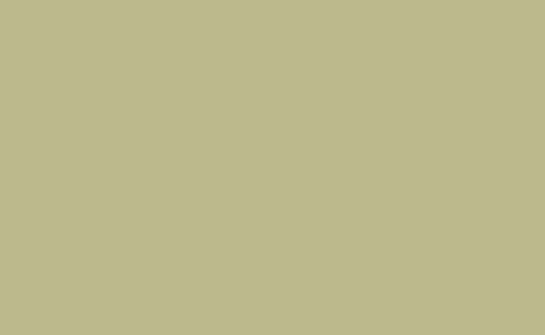 BD Seamless PISTACHIO 2.72m x 11m image 1