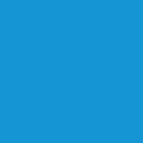 BD Seamless Corded Regal Blue 2.72m x 11m image 1