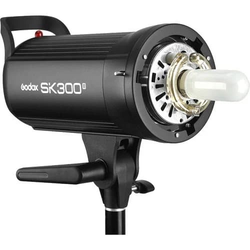 Godox Studio 2 head Kit SK300II - 2 Sofbox - 2 Stands - 1 bag - XT-16 transmitter image 1