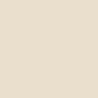 BD SEAMLESS CREAM 1.35m x 11m image 1