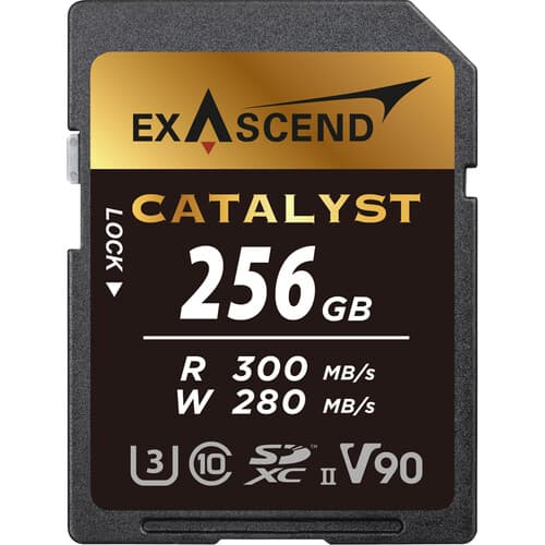 Exascend Catalyst SD Card 256GB, UHS-II / V90 / U3 / Class 10, Read:300 MB/s, Write:280 MB/s image 1