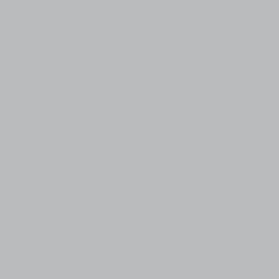 BD Seamless Corded Steel Gray 2.72m x 11m image 1