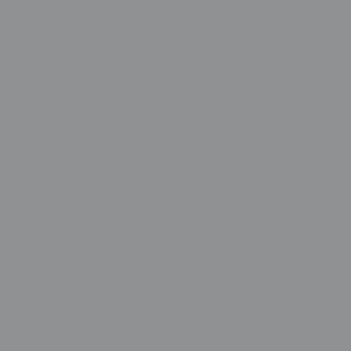 BD Seamless Graystone 2.72m x 11m image 1