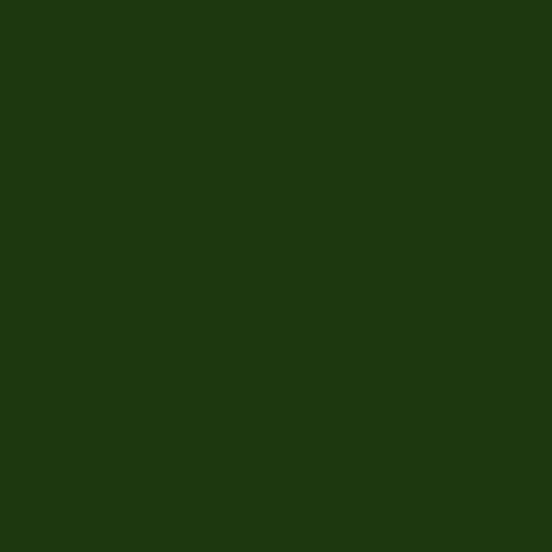 BD Seamless Corded Foto Green 2.72m x 11m image 1