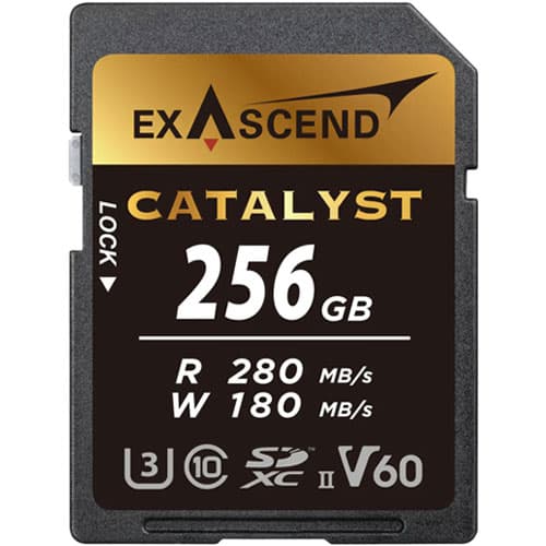 Exascend Catalyst SD Card 256GB, UHS-II / V60 / U3 / Class 10, Read:280 MB/s, Write:180 MB/s image 1