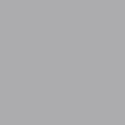 BD SEAMLESS STONE GRAY 1.35m x 11m image 1
