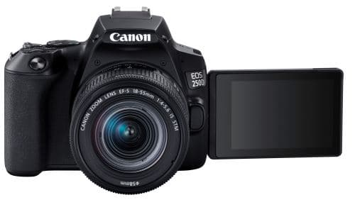 Canon EOS 250D & 18-55mm IS STM image 2